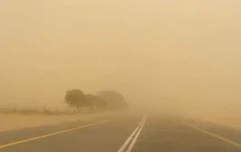 بعد مرورها على دول عربية .. مركز الإنذار المبكر في حضرموت يحذر من موجة غبار خلال الساعات القادمة